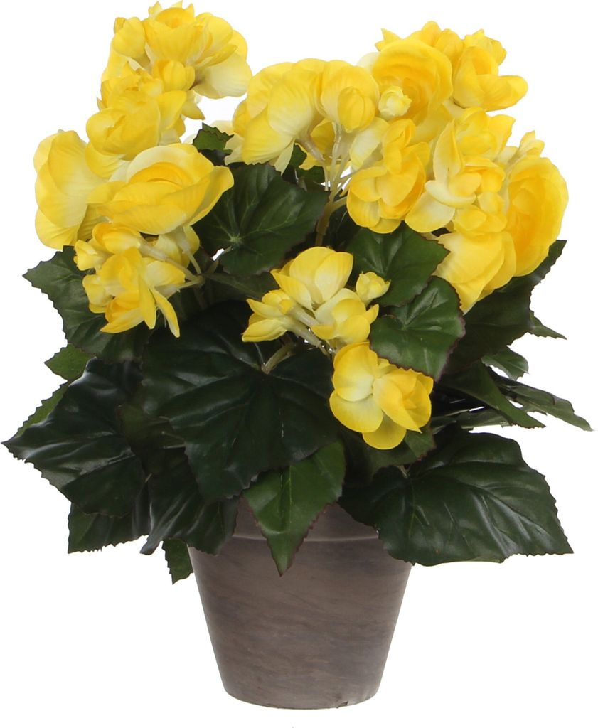 Mica Decorations Begonien Kunstpflanze im Blumentopf Stan - H30 x Ø25 cm - Gelb