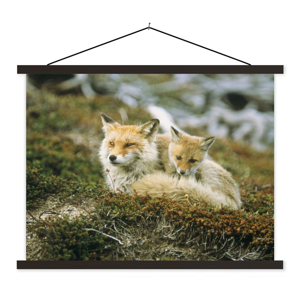 MuchoWow Textilposter Füchse - Moos - Jung 60x45 cm mit schwarzem Rahmen - Poster Schlafzimmer