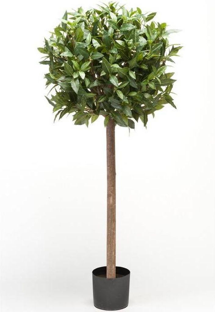 artplants.de Kunstbaum Lorbeer Kugel DRODY, Echtstamm, Früchte, 120cm - Deko Lorbeerbaum - Kunststoff Lorbeer
