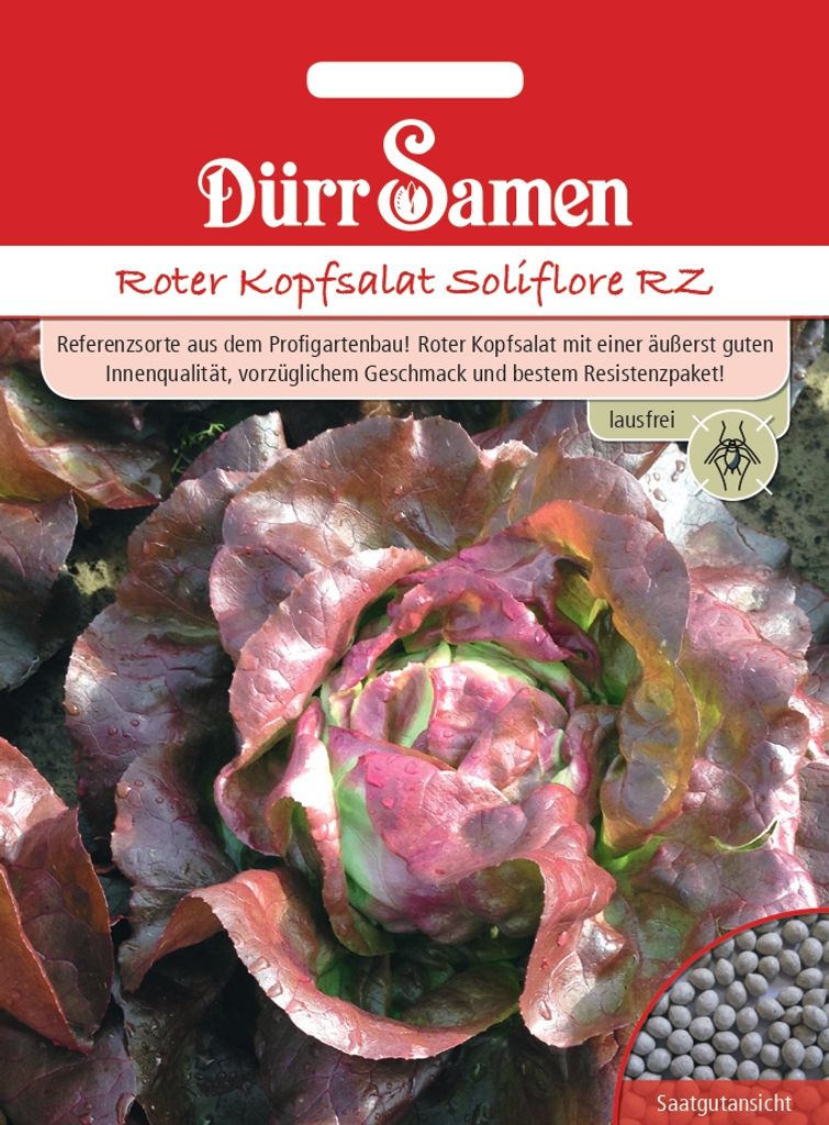 Dürr-Samen - Roter Kopfsalat Soliflore RZ - | Kaufland.de
