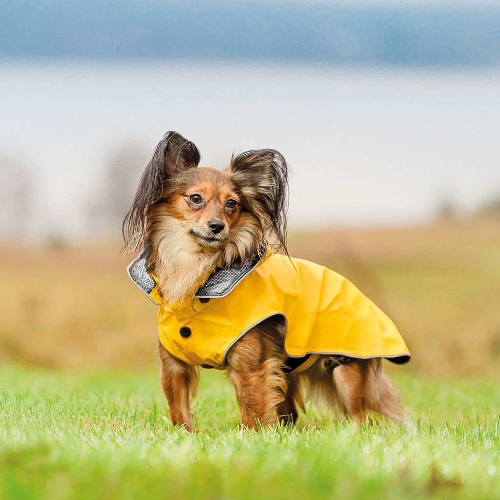 Rukka Pets Rukka Regenmantel Gelb Rukka Pets Regenmantel Stream