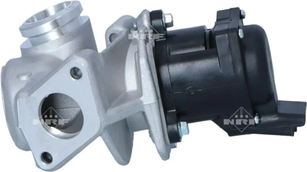 Soupape EGR Électrique NRF 480648 avec Joints pour Citroën Berlingo
