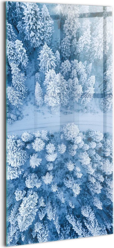 Designer Glasbild - Wandbild - Glas Bild - 60x120 cm - Wald Aus Der Vogelperspektive