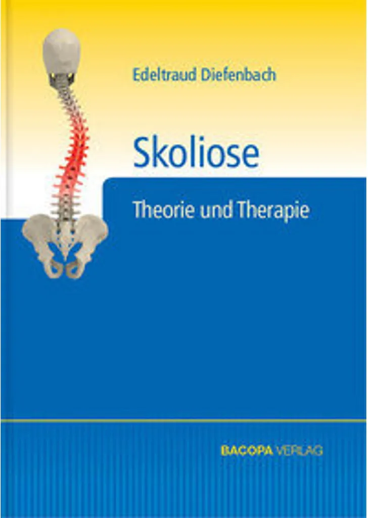 Ceinture de Maintien Dos Skoliose avec Attelles pour Soutien Lombaire Noir