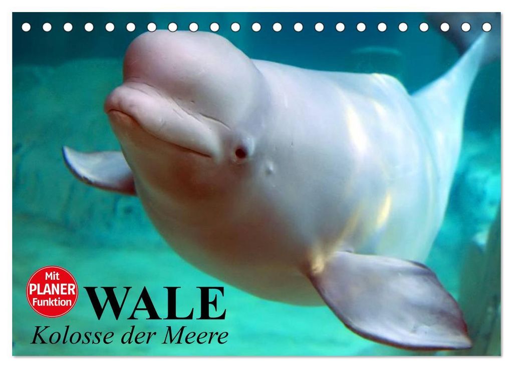 Wale. Kolosse der Meere (Tischkalender 2027 DIN A5 quer), CALVENDO Monatskalender