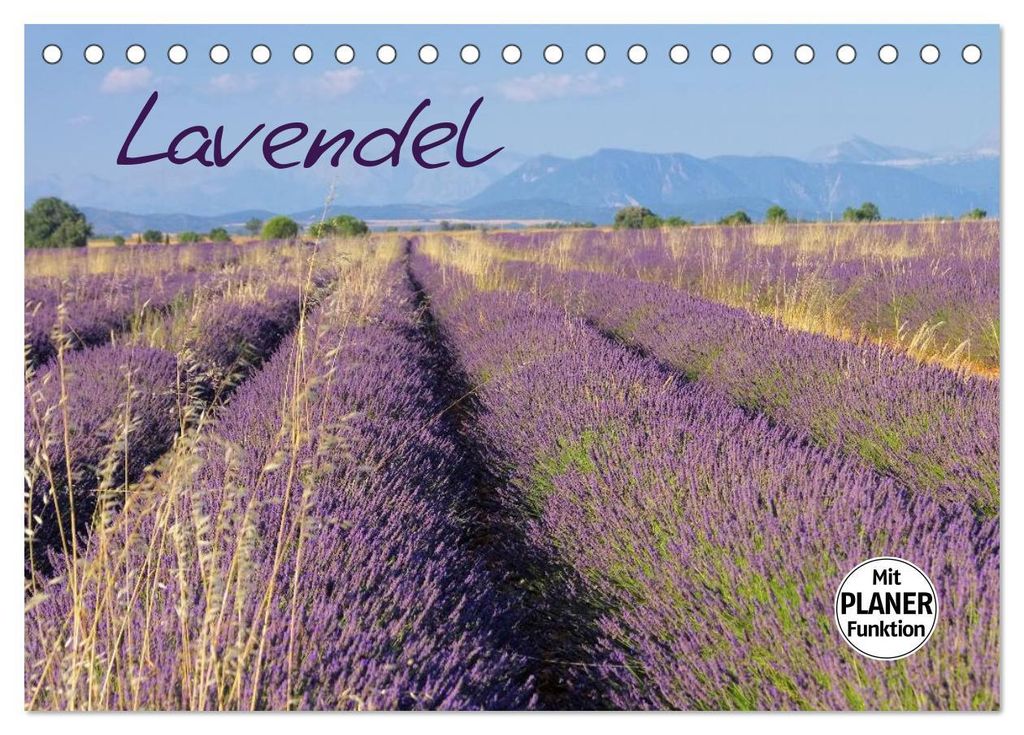 Lavendel (Tischkalender 2027 DIN A5 quer), CALVENDO Monatskalender