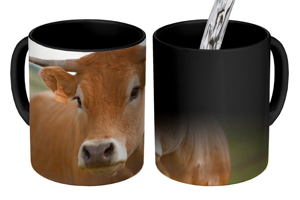 KitchenYeah Zauber Tasse Zaubertasse Magic Kuh - Horn - Porträt 350 ml Farbwechsel Becher Geschenk Geschenkidee - Magic-Tasse - Fototasse - Kera...