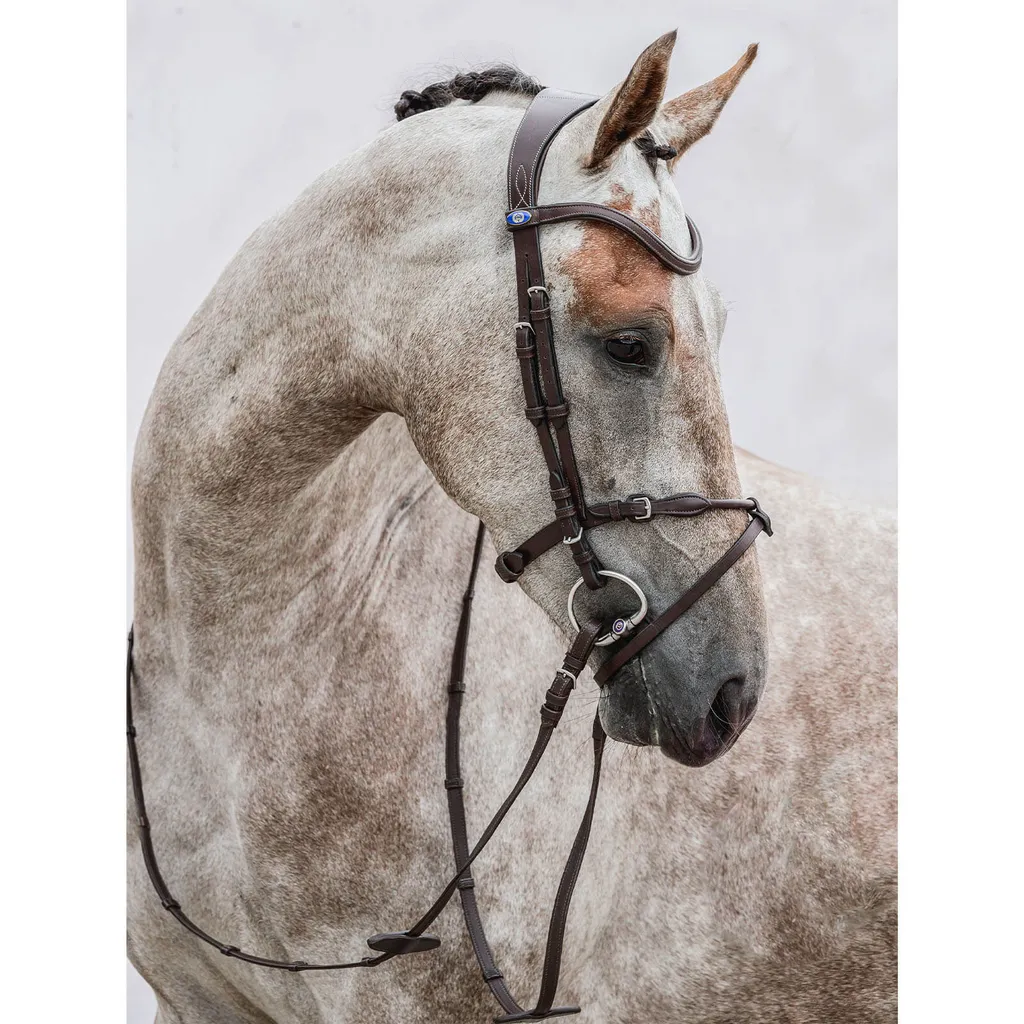 Bridon Mary Lou PS of Sweden Marron Cob : Fin des Pressions Faciales