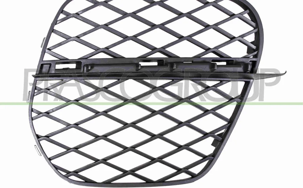 Grille d'aération ABS noir pour BMW X5 E70 - PRASCO Haute Qualité