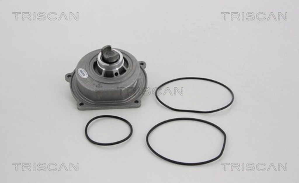 TRISCAN Wasserpumpe 8600 17011