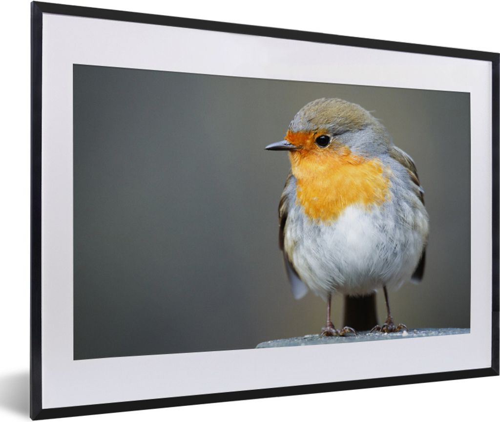 MuchoWow Gerahmtes Poster Nahaufnahme eines Rotkehlchens 60x40 cm - Poster mit Schwarzem Bilderrahmen Wandposter Rahmen Foto Bilder - Schlafzimme...