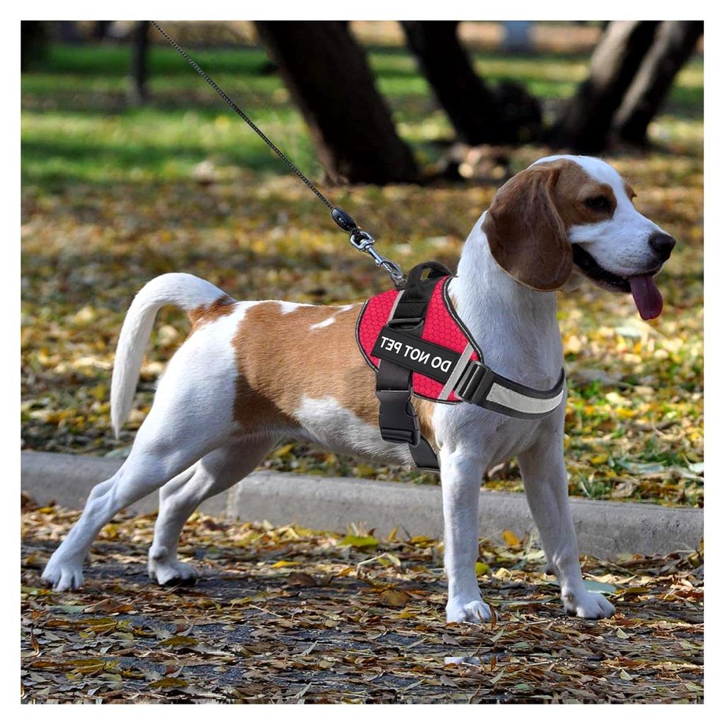 6er Set Diensthund-Patches, abnehmbare 'Nicht Streicheln'-Patches für Geschirre, taktische Hundetraining-Tags mit Haken für Westen, 5,1 x 1,5 Zoll