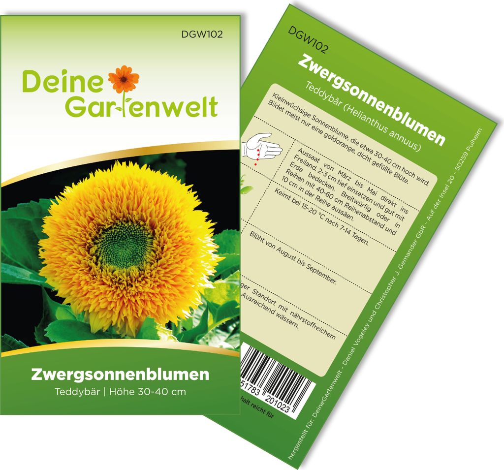 Zwergsonnenblumen Teddybär Samen - Helianthus annuus - Zwergsonnenblumensamen - Blumensamen - Saatgut für 20 Pflanzen
