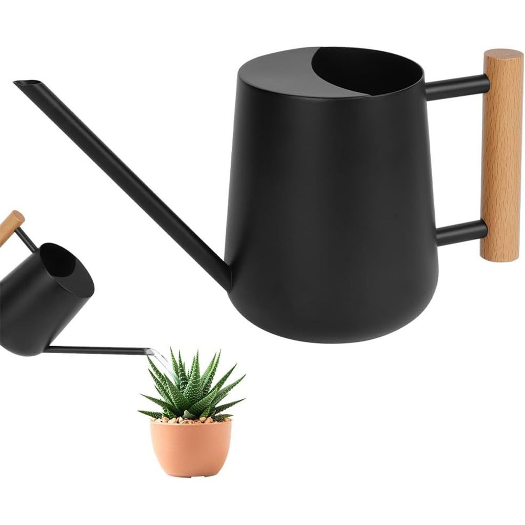 Gießkannen, Gießkanne Zimmerpflanzen, 1L Gießkanne Klein Gartengießkanne, Edelstahl Watering Can Garten Gießkanne mit Langem Auslauf und komfo...