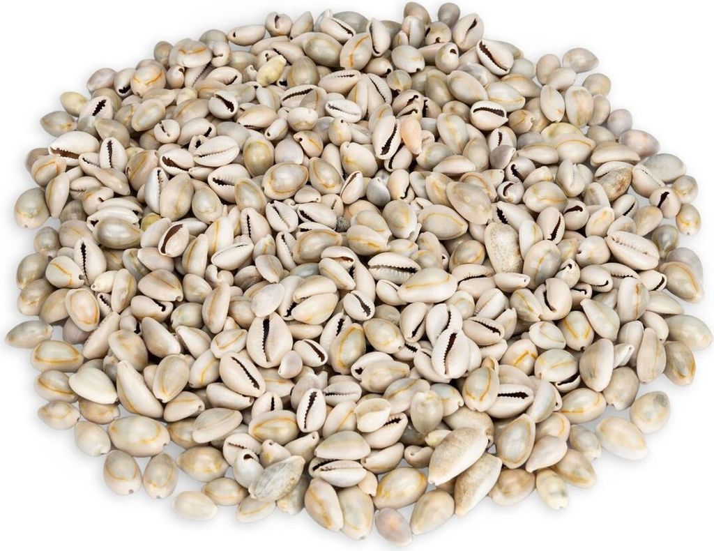 NaDeco Monetaria annulus 0,5 kg, 2 cm, ca. 600-700 Produktbild 