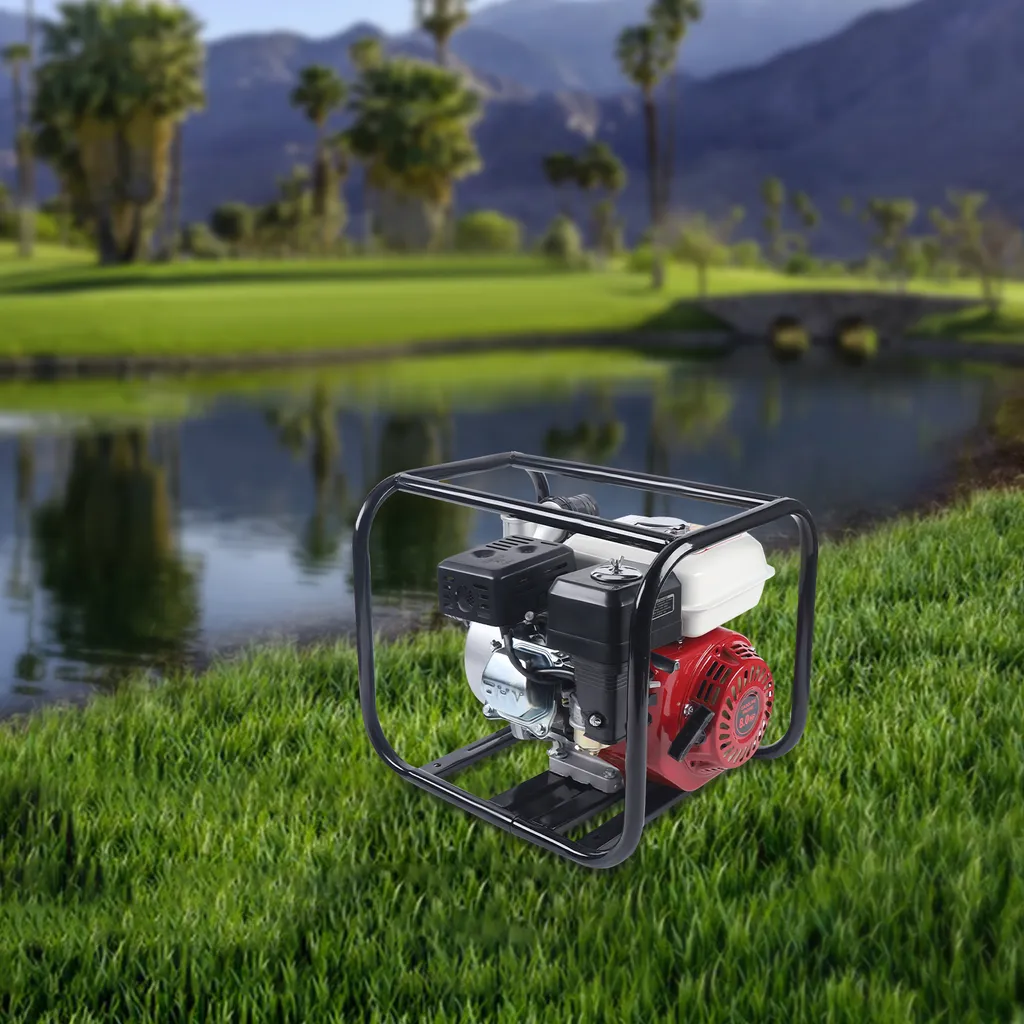 Pompe à eau 6,5 CV anti-inondation : solution efficace à débit élevé - 4