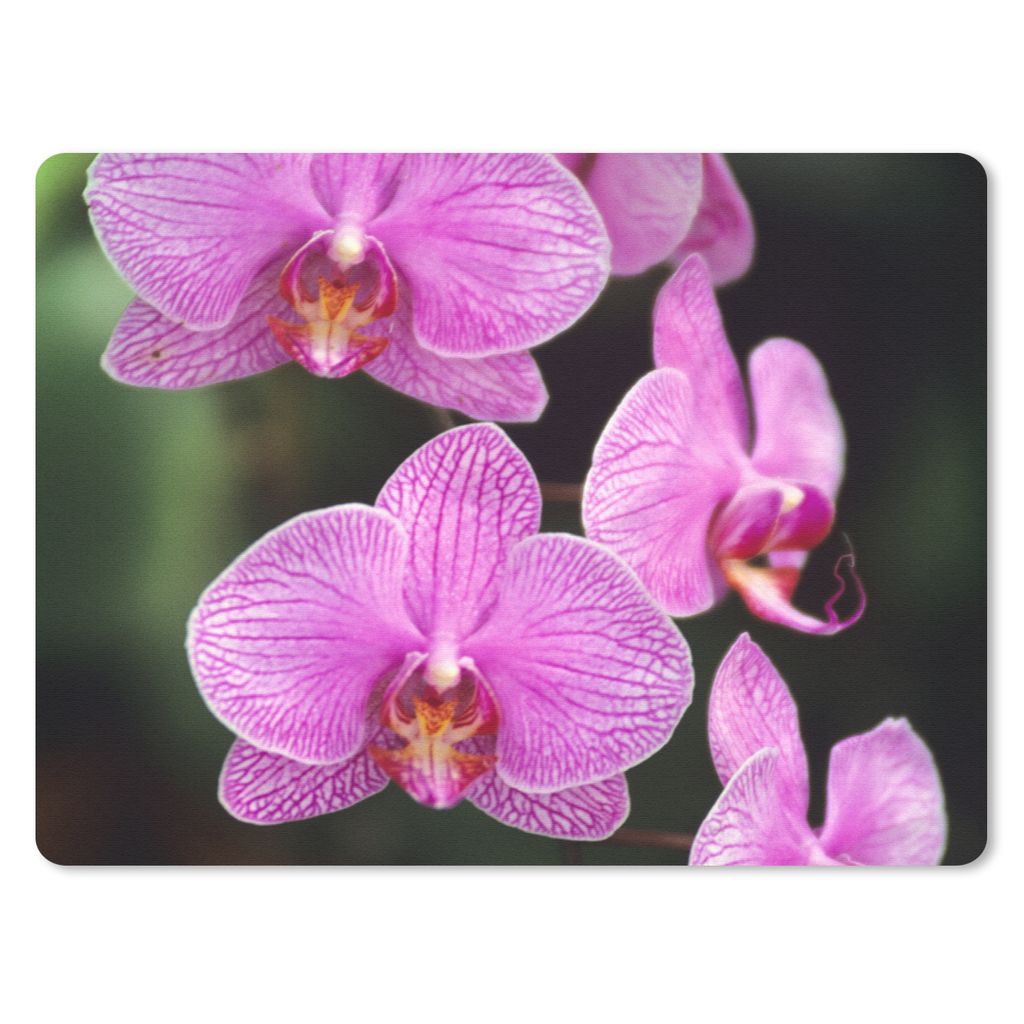 MuchoWow Mauspad Mousepad Rosa Orchidee 40x30 cm - Mousepads - Maus Mat - Pad - Mausunterlage - Anti Rutsch