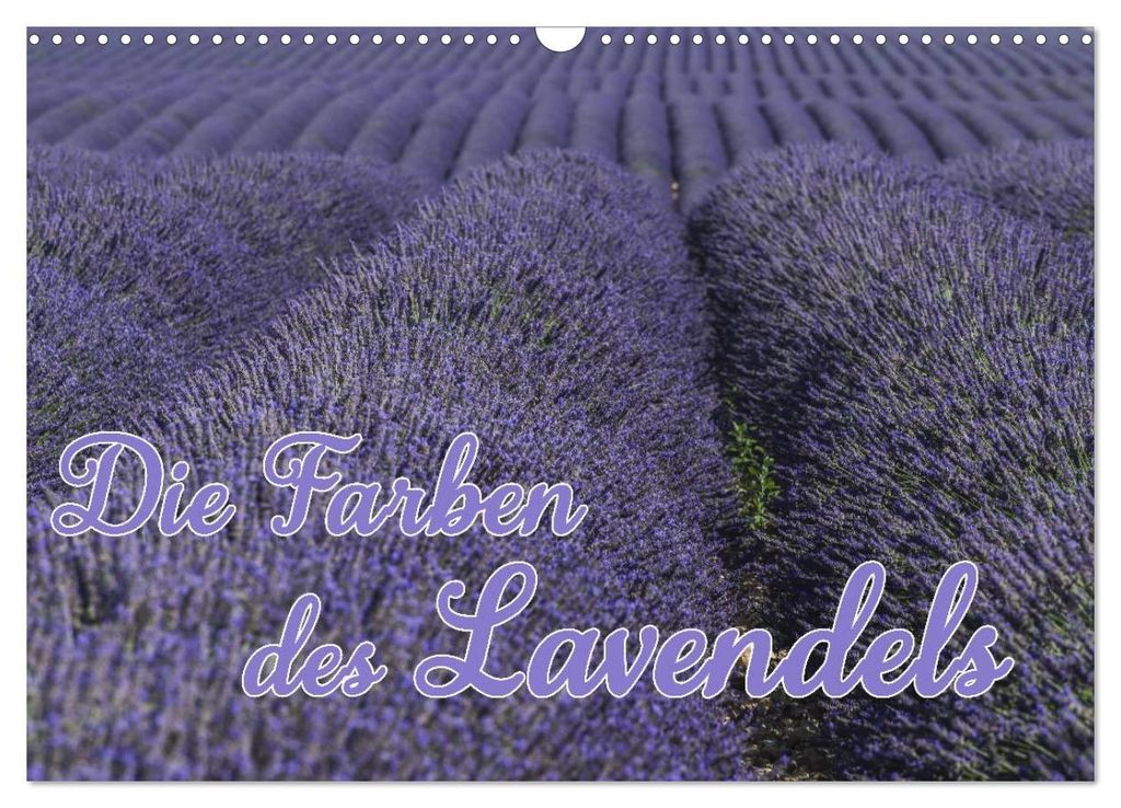 Die Farbe des Lavendels (Wandkalender 2027 DIN A3 quer), CALVENDO Monatskalender