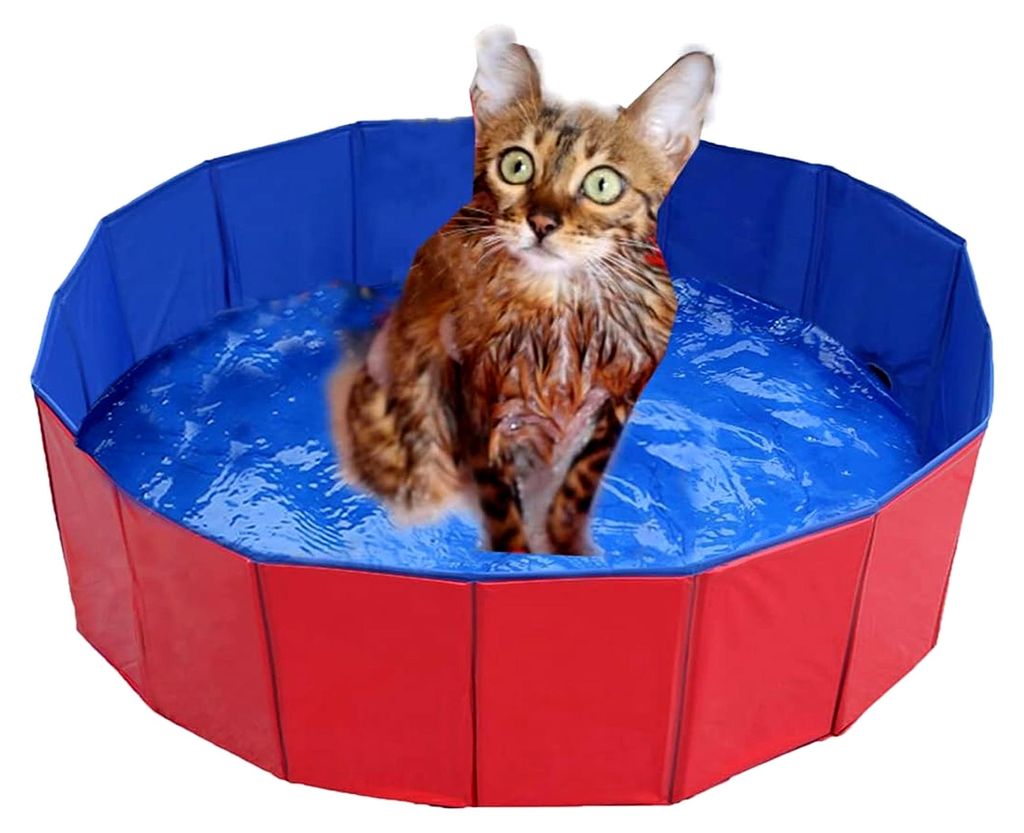 Faltbarer Hundepool, umweltfreundliches PVC, rutschfestes Planschbecken mit Ablassventil für Hunde und Katzen (50 * 8cm)