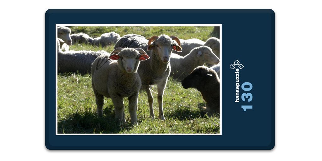 hansepuzzle 17864 - Schafe auf Weide Puzzle, 130 Teile, Tierwelt, 28,7 x 20,0cm mit hochwertiger Aufbewahrung, Kartonbox & Beutel