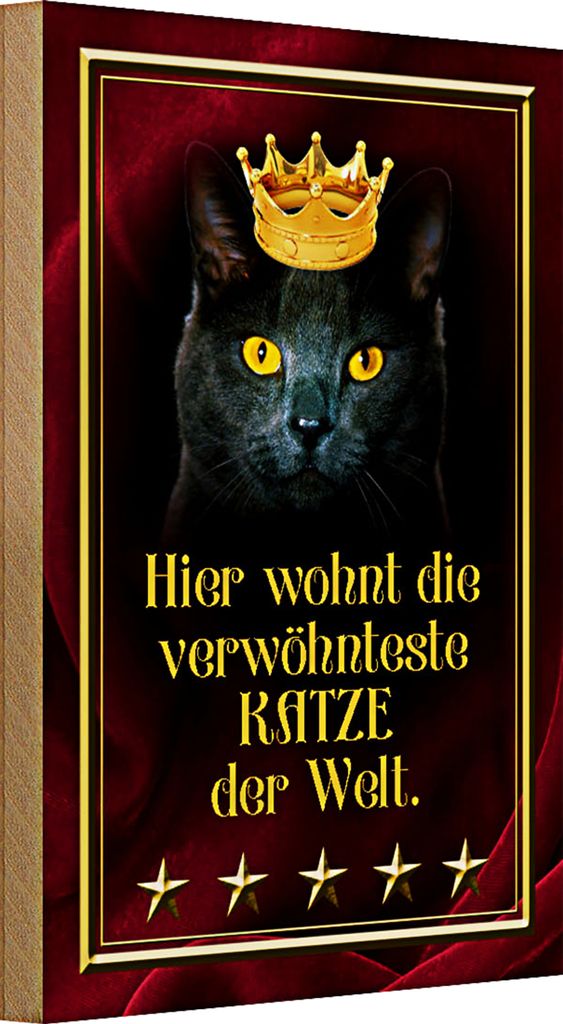 Holzschild Spruch 20x30cm hier wohnt Katze der Welt