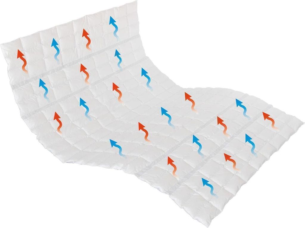 Traumina Breeze Daune Einziehdecke WK 2 Größe 200x220 cm