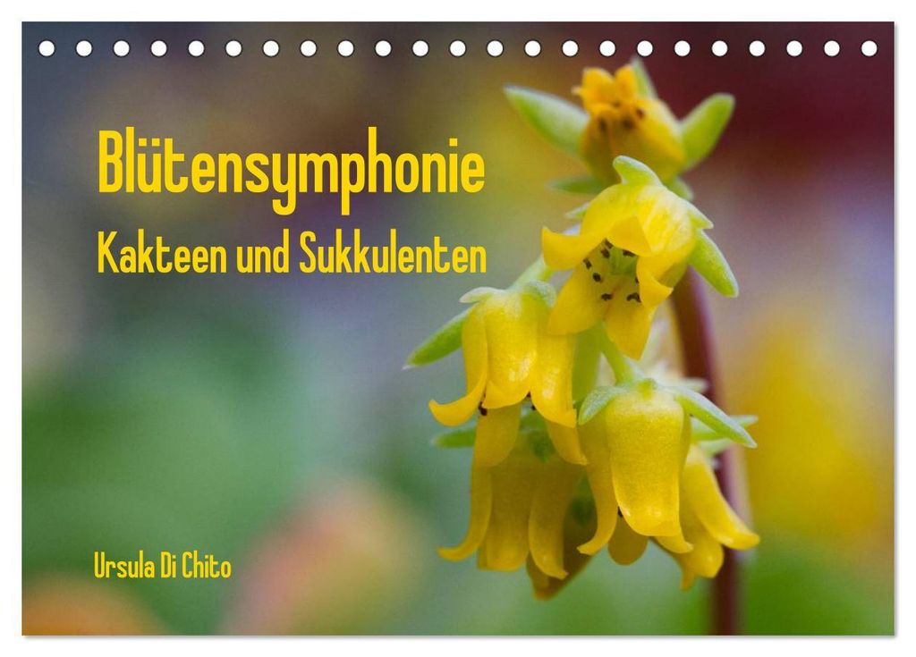 Blütensymphonie - Kakteen und Sukkulenten (Tischkalender 2027 DIN A5 quer), CALVENDO Monatskalender
