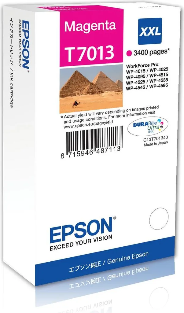 Cartouche Epson T7013 Magenta XL pour Impression de Documents de Bureau