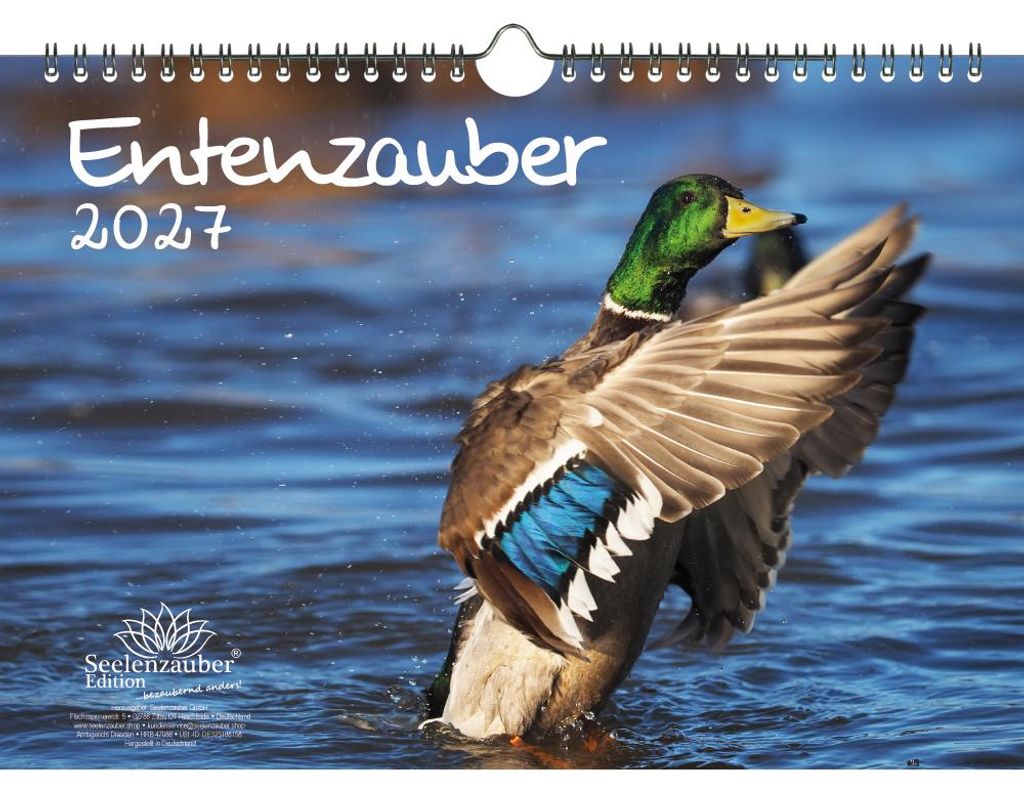 Entenzauber DIN A4 Kalender für 2027 Enten - Seelenzauber