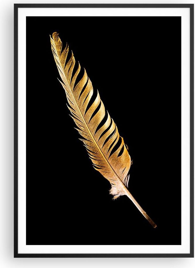 Gerahmtes Poster - Schwarzer Rahmen - Golden Feder Schwarz - 70x100 cm - Wand Bild - Wanddeko - Wandbilder - Kunstposter - Wandposter - Bilderrahme...