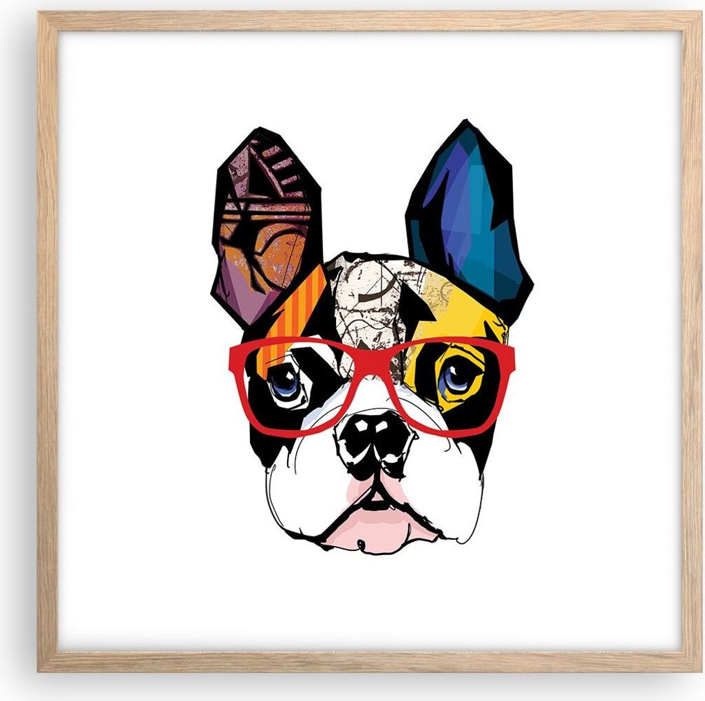 Gerahmtes Poster - Rahmen in heller Eiche - Hund Brille Bunt Bulldogge - 50x50 cm - Wand Bild - Wanddeko - Wandbilder - Wandposter - Bilderrahmen -...