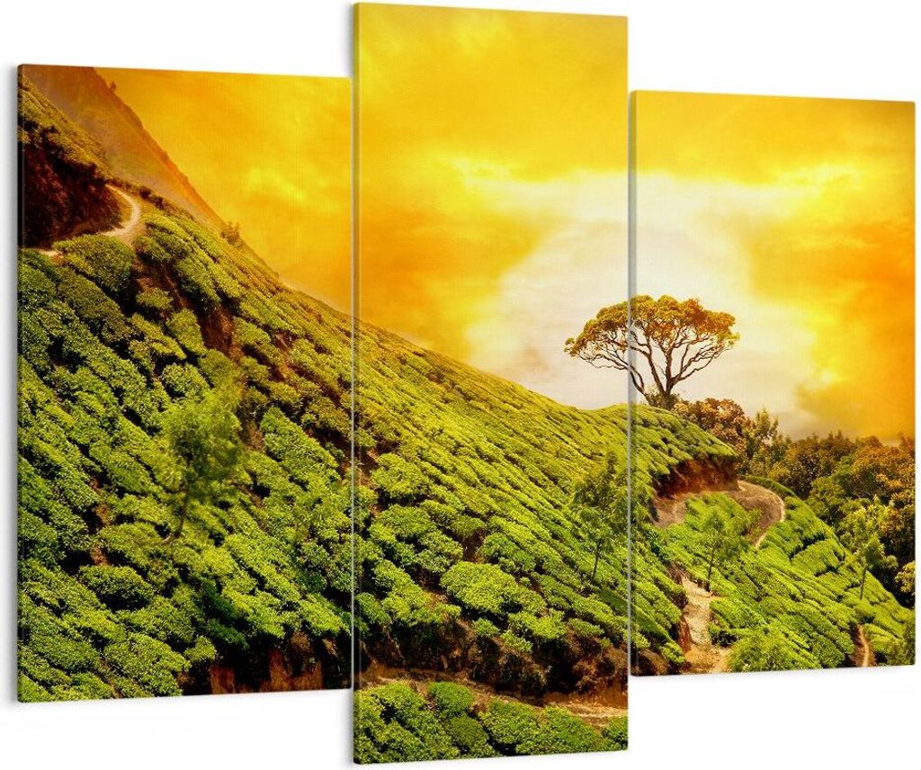 Bild auf Leinwand - Leinwandbild - Berg Baum Pfad Hügel - 130x100cm - Wand Bild - Wanddeko - Leinwanddruck - Bilder - Kunstdruck - Wanddekoration ...