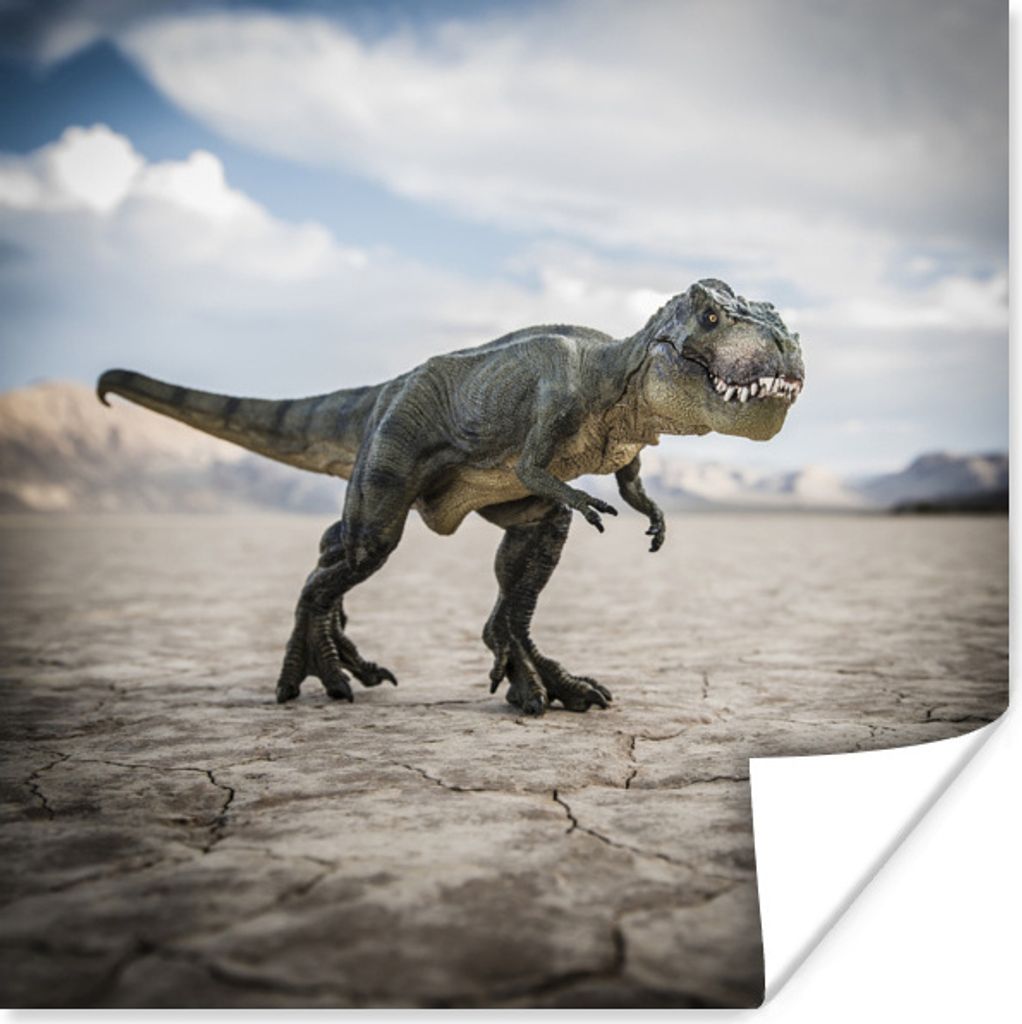 MuchoWow Poster Dinosaurier - Steine - Sand 100x100 cm - Babyzimmer