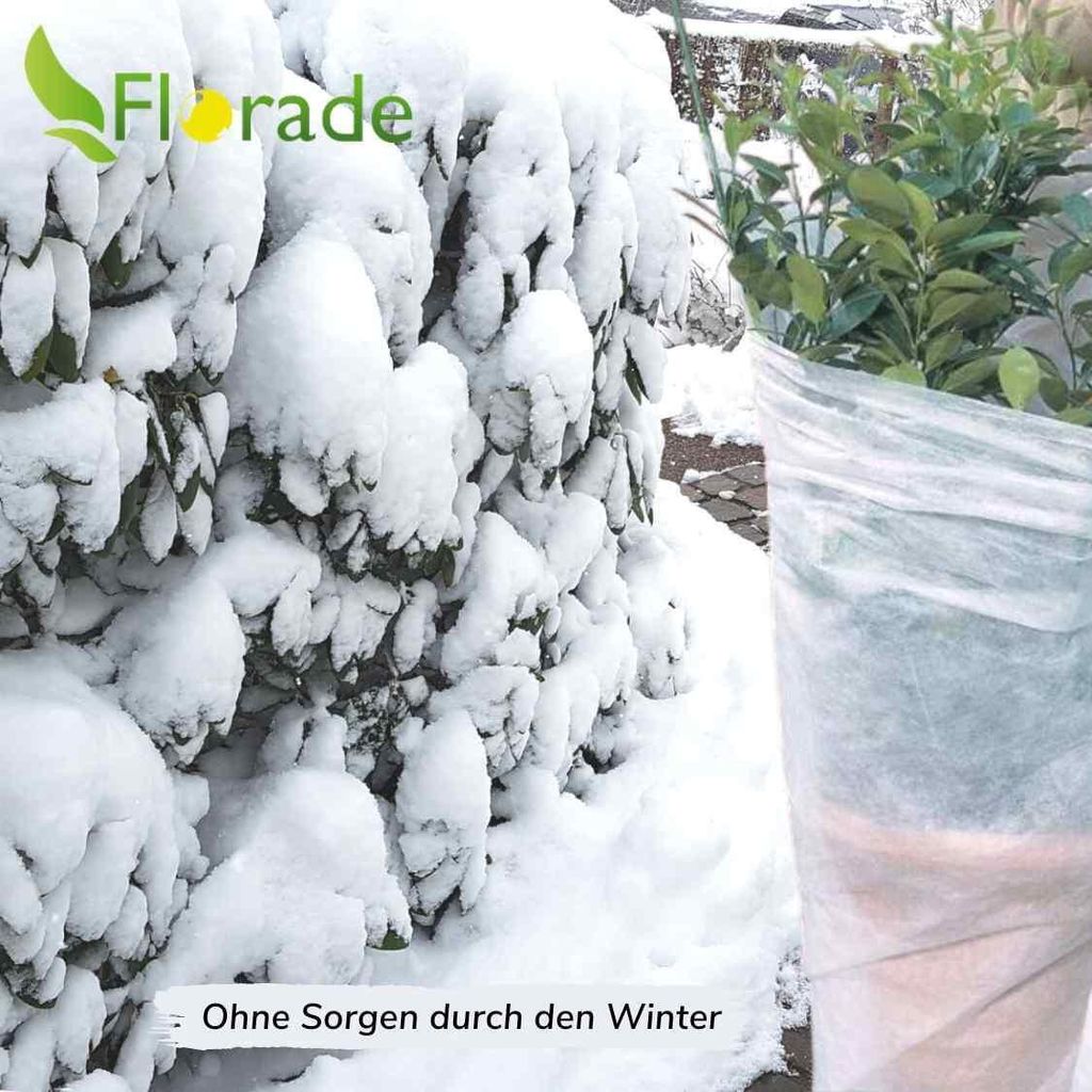 Pflanzenschutz Fr Den Winter