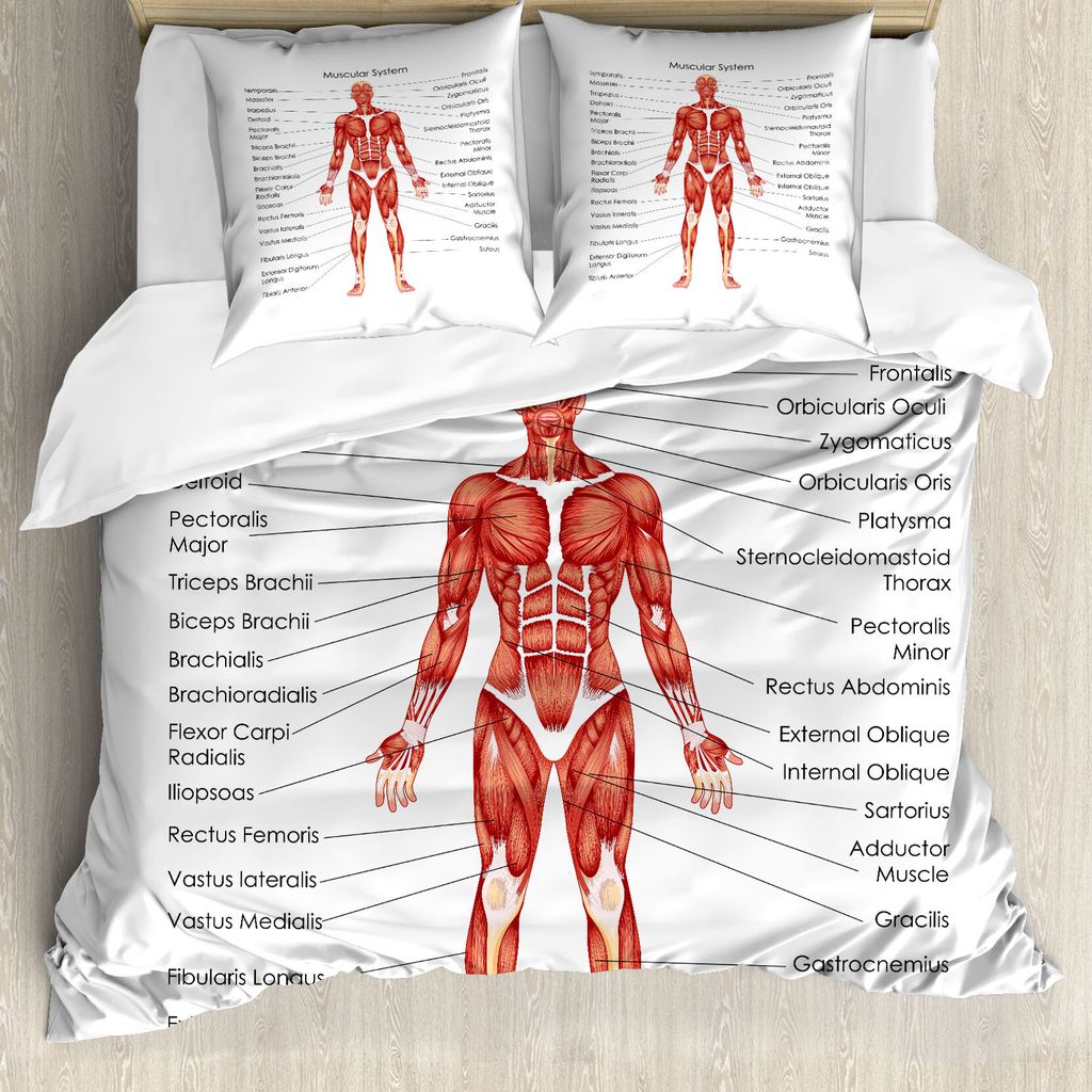 ABAKUHAUS Anatomie Bettbezug Set für Einzelbetten, Menschliches Muskelsystem anzeigen, Milbensicher Allergiker geeignet mit Kissenbezug, 200 cm x ...