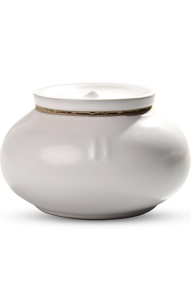 Elegante Mini Urne für Haustiere und Menschen - 170 ML - Weiße Gedenkurne für Asche - Hochwertige Qualität