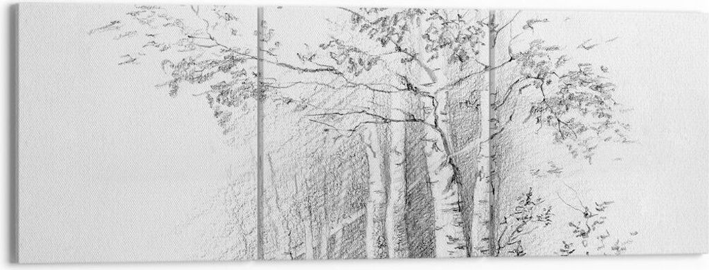 Bild auf Leinwand - Leinwandbild - 3 Teile - Skizze Wald Birke - 150x50cm - Wand Bild - Wanddeko - Wandbilder - Leinwanddruck - Bilder - Wanddekora...