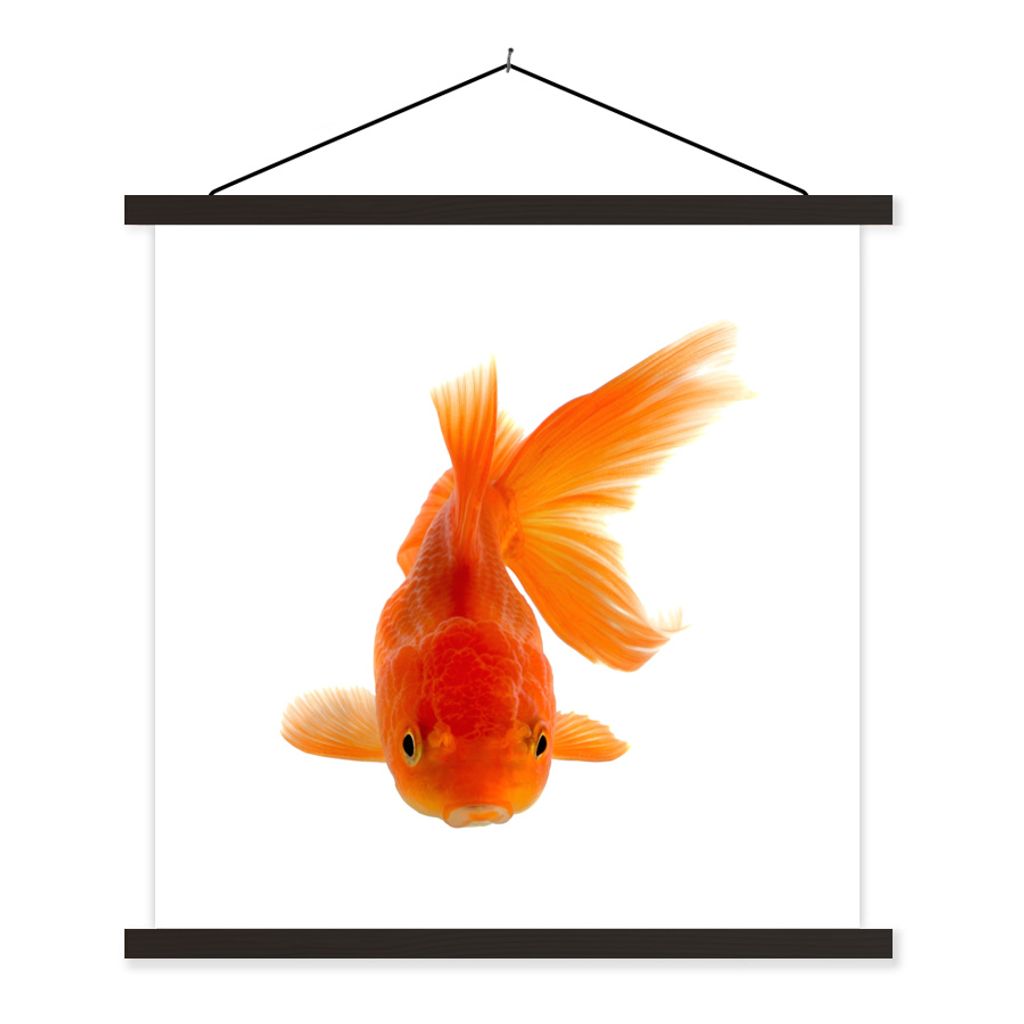 MuchoWow Textilposter Goldfisch - Meerestiere - Orange 120x120 cm mit schwarzem Rahmen - Aufhängungsset