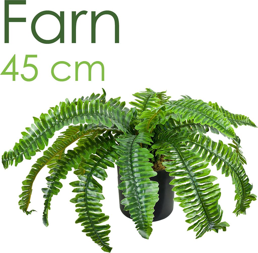 Fougère Osmonde Plante Artificielle Artificiel Plastique Image du produit 