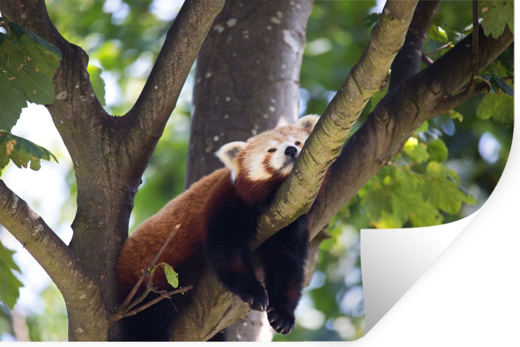 MuchoWow - Aufkleber