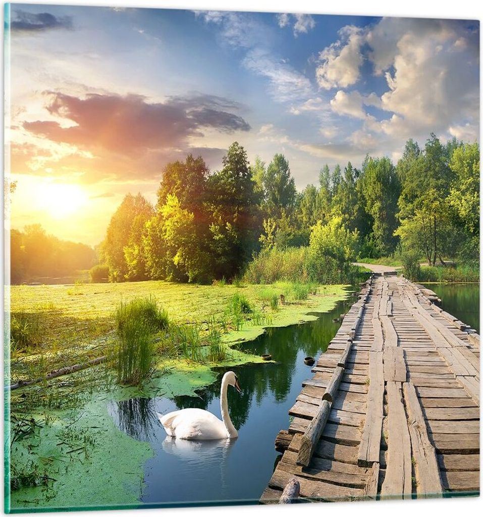 Bilder auf glas - Architektur Promenade Schwan Landschaft - 60x60cm - Glasbilder - Wandbilder - Kunstdruck - Wanddekoration aus Glas - Glas Bilder ...