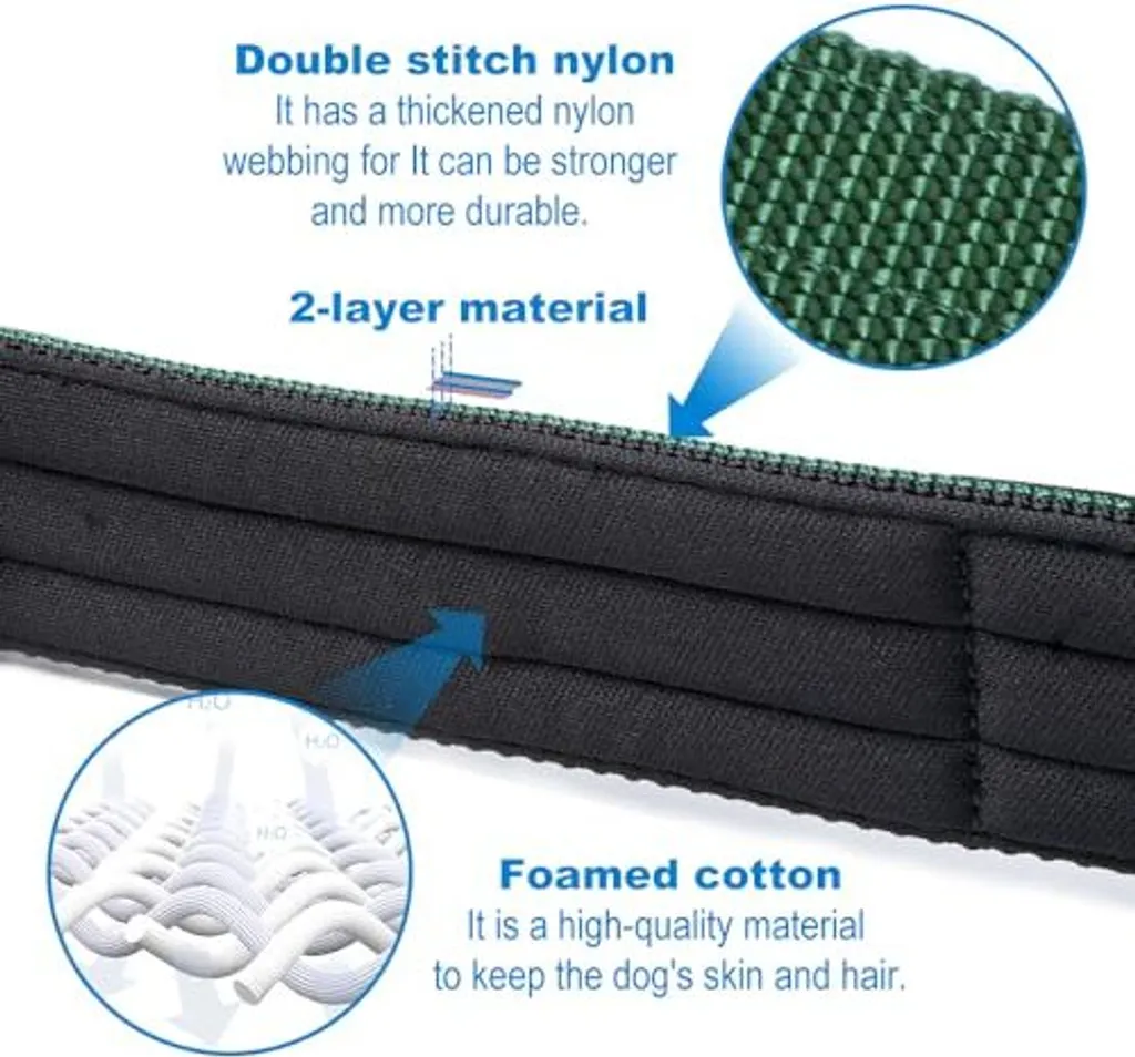 Collare Tattico Cane Piccolo S Arancione: Sicurezza e Fibbia Metallo - 5