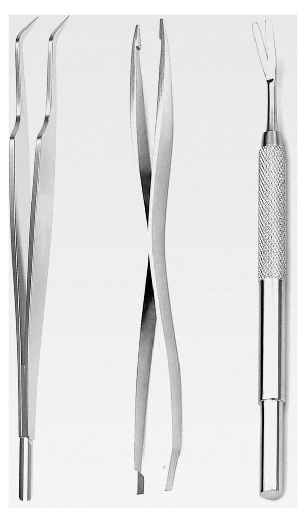 Zeckenzange 3er Set, Edelstahl-Zeckenzange für Hunde, Katzen und Menschen, mit Pinzette und PVC-Verpackungsbeutel