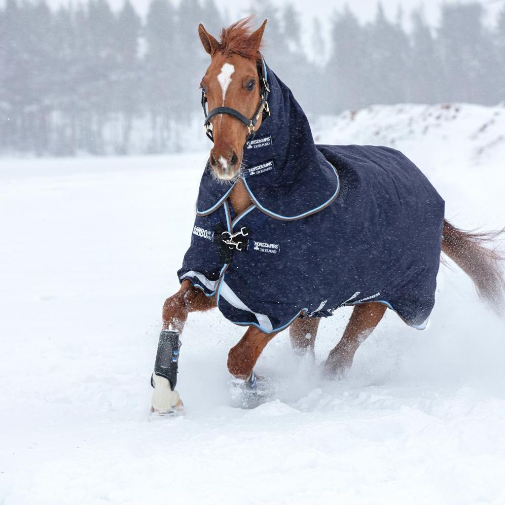 Horseware Rambo Duo Turnout 100g + 300g - Navy/Sky Blue, 145