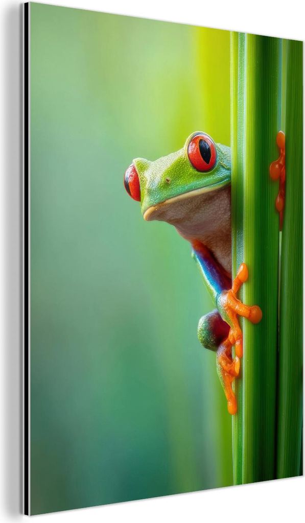 MuchoWow Wanddekoration Metall Metallbild Wandkunst 90x120 cm Grüner Frosch - Neugierig - Gras MuchoWow Aluminium Gemälde - Industrial