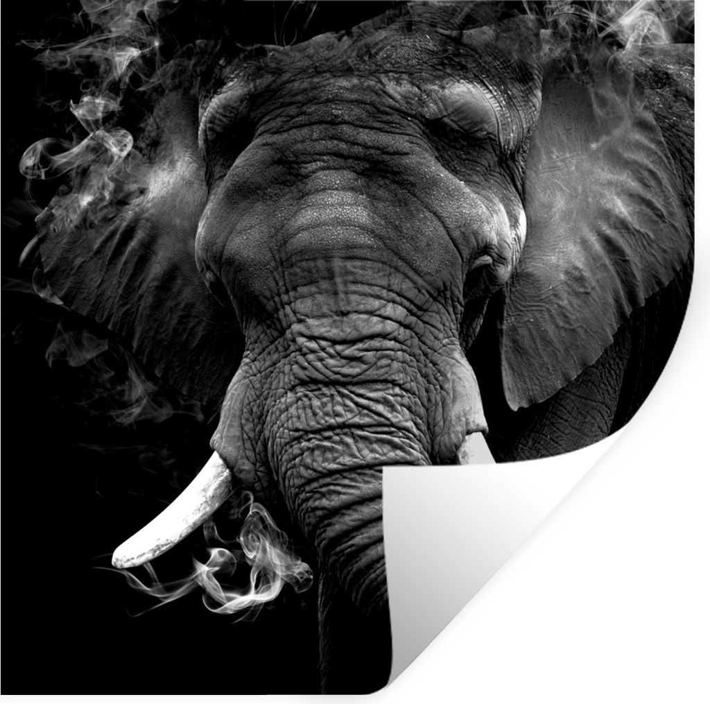 MuchoWow Wandtattoo Wandsticker Wandaufkleber Elefant - Rauch - Zähne - Schwarz - Weiß 30x30 cm Selbstklebend und Repositionierbar - Reposition...