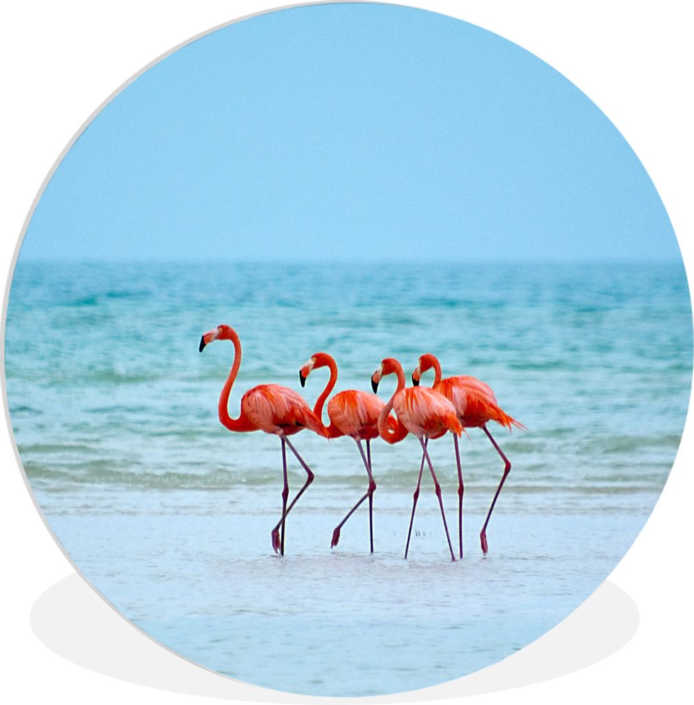 MuchoWow Rundes Wandbild - Runde Bilder Vier Flamingos stehen am Strand Ø 30 cm Kreis Wanddekoration Kunststoff - Wandkreis - Wandschmuck - Schl...