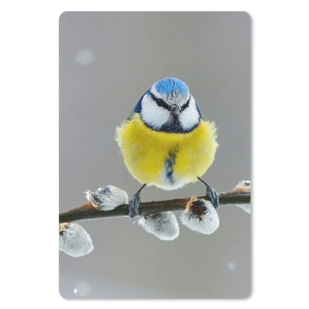 MuchoWow Mauspad Mousepad Blaumeise - Vogel - Zweig - Gelb - Blau 18x27 cm - Mousepads - Maus Mat - Pad - Mausunterlage