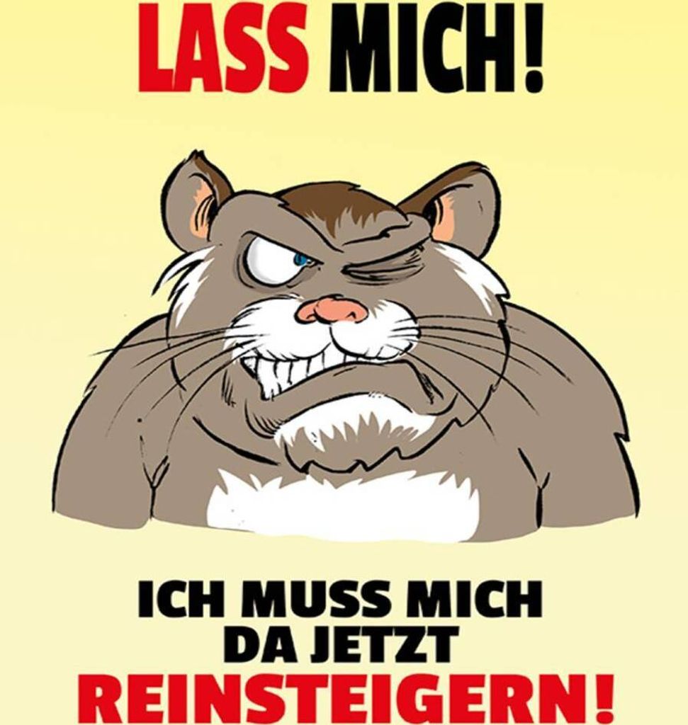 vianmo Holzschild 40x30 cm Lass mich Muss mich da reinsteigern
