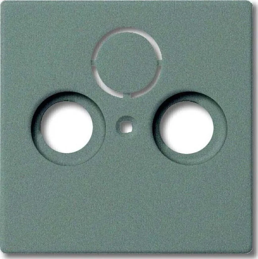 Rénover Prise Antenne Jaunie avec la Plaque Busch-Jaeger Meteor-Grey 2f
